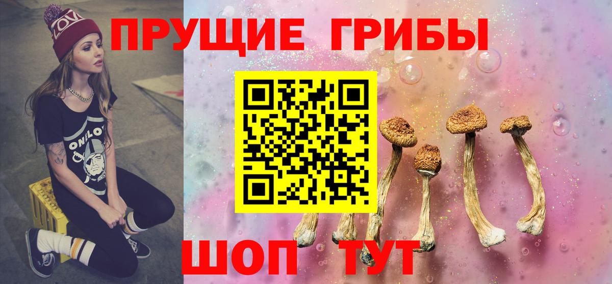 Псилоцибиновые грибы ЛСД Нальчик