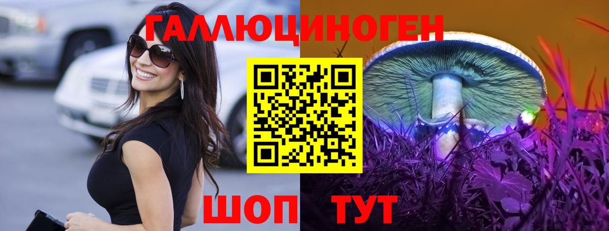 Нальчик  где купить наркоту  Псилоцибиновые грибы GOLDEN TEACHER  Вход с VPN  Галлюциногенные грибы мицелий 